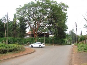 Bunglow at 4th Parklands Avenue